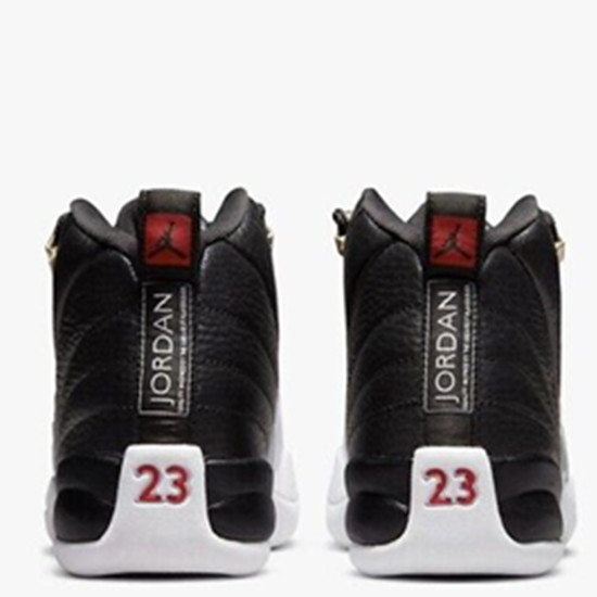 Air Nike Jordan 12 Retro GS